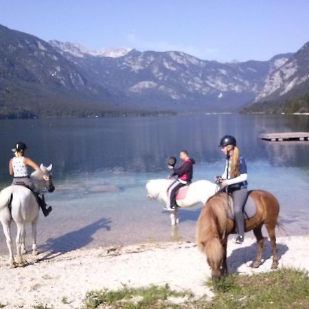 Tubej Mountain Room With Terase Bohinjska Bistrica Zewnętrze zdjęcie