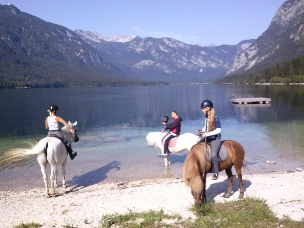 Tubej Mountain Room With Terase Bohinjska Bistrica Zewnętrze zdjęcie